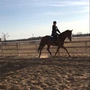 Meet your Posher, Jenna